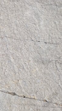 Texture di pietra naturale grigio chiaro con venature sottili e crepe