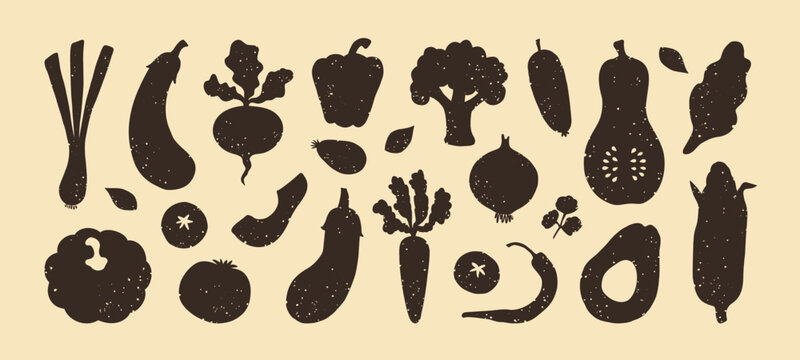 Hand drawn grunge texture silhouettes vegetables. Modern abstract farmer market plant. Healthy organic food cut out paper. Pumpkin, tomato, onion, carrot, beet, corn, pepper. Vector illustration.
