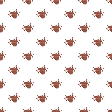 Crab louse pest background illustrating medical and hygiene themes