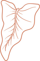 Fototapeta premium Outline Leaf Abstract Shape Ornament with Artistic Boho Contour Lines