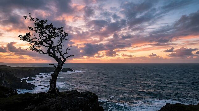 Lone tree standing on a rocky cliff over the ocean at sunset