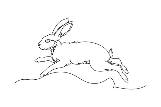 Single continuous line drawing pet rabbit hare running and leaping across the ground. Dynamic agility, speed, wildlife nature, domestic animal charm. One line draw graphic design vector illustration