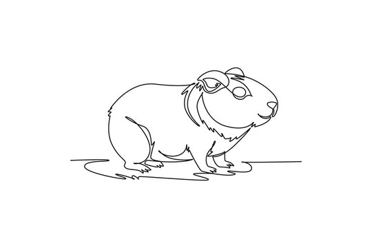 Single continuous line drawing cute pet guinea pig resting calmly on the floor, highlighting domestic rodent pet care, fluffy fur, sweet nature fauna. One line draw graphic design vector illustration