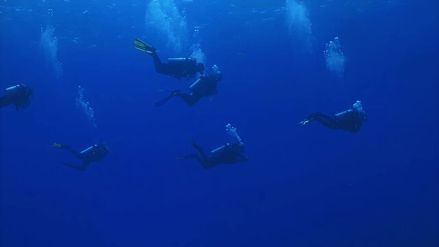 Scuba divers explore the deep blue ocean, ascending with bubbles