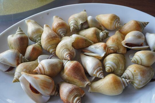 a plate of siput gong-gong (dog conch or Laevistrombus canarium), a popular boiled sea snail dish from the Riau Islands in Indonesia