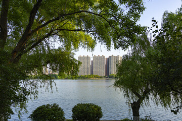 Green trees framing a lake with residential high-rises across the water © TranAnhDao