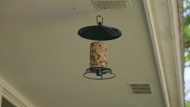 Low angle look at a nut and fruit log for birds hanging from a soffit.