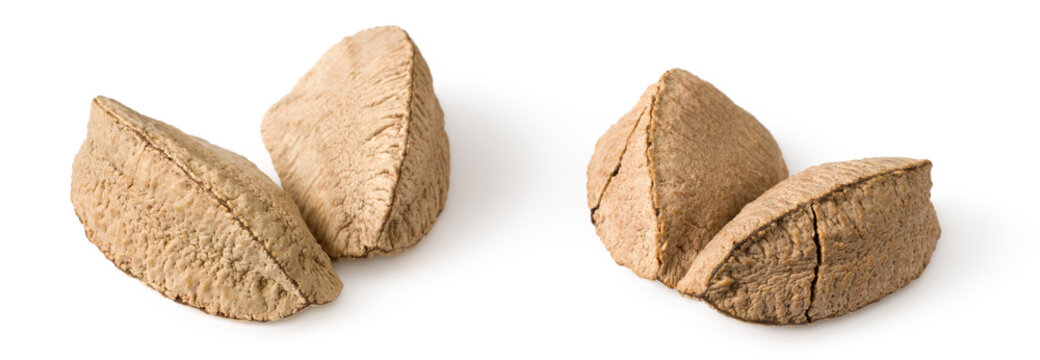 In-sell Brazil nut isolated on the white background.