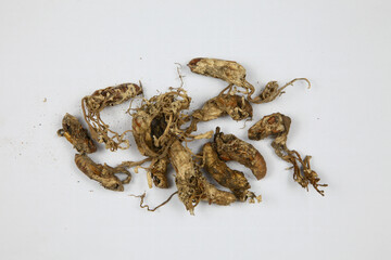 Dried medicinal roots isolated on white background © LamQuang