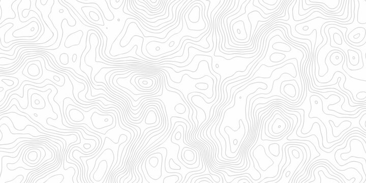 Abstract minimal pattern discovery topo map creative discovery White wave grid stripe line map topography. vector geographic contour mounted map background.