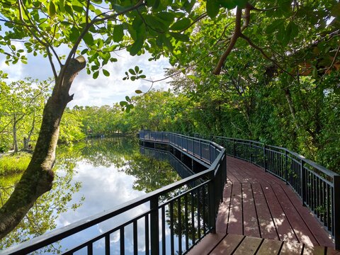 Curved wooden boardwalk with black handrails along calm lake reflecting blue sky and clouds.