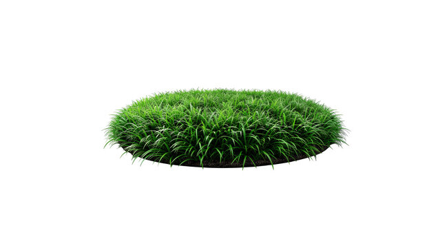 Fresh round green grass patch isolated on transparent background