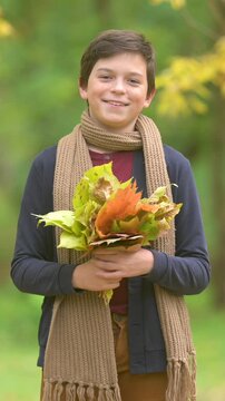 Vertical video: Smiling young boy holding a beautiful bouquet of colorful fallen leaves in autumn park. Close-up portrait of a happy kid. 9:16 social media format.