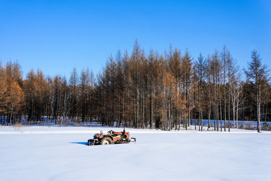 Abandoned tractor in snowy field beside leafless forest under blue winter sky