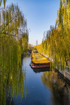 Willow lined canal with sightseeing boats in Jinan, Shandong, China