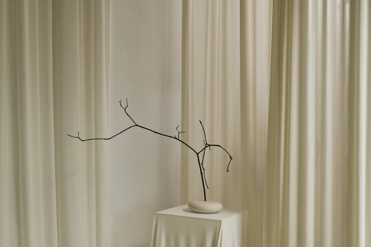 Minimalist dry tree branch standing in stone base against draped fabric background representing simplicity. Useful for interior design branding and modern art marketing