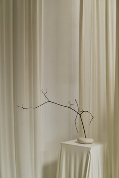 Vertical shot of dry branch standing in stone base against draped fabric background. Minimalist composition suitable for art gallery branding and interior design promotion
