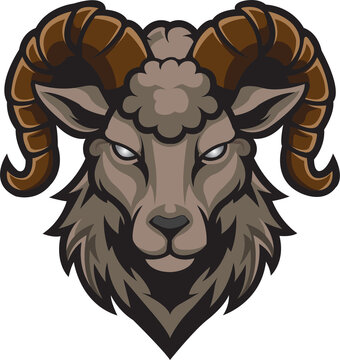 kambing 