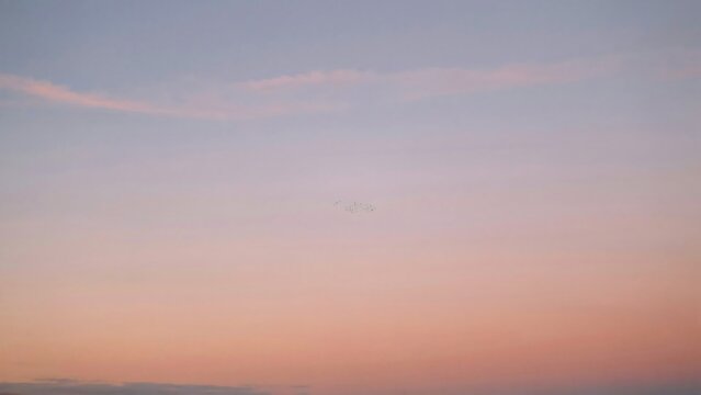 Flock of tiny migratory birds flying across a soft pastel sunset sky captured during a peaceful and calm evening transition