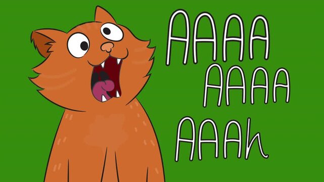 Animated funny orange cat vector with aaa.. text on green screen