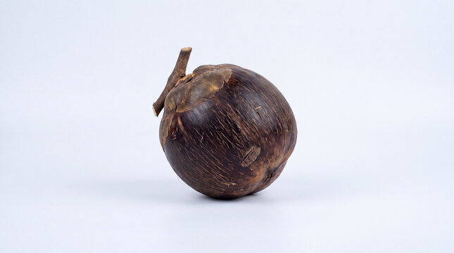 Asian Palmyra Palm Fruit on White Background: A single, ripe Asian Palmyra palm fruit, with its dark, textured exterior, rests isolated against a clean white background, showcasing its natural form.