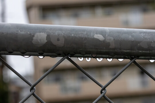 雨の溜まる金網