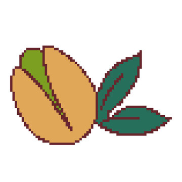 Pistachio nut with small leaves pixel art botanical food