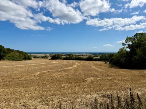 Blick auf die Ostsee