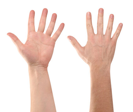 Set of open male hands showing front and back palms, isolated on transparent cutout background