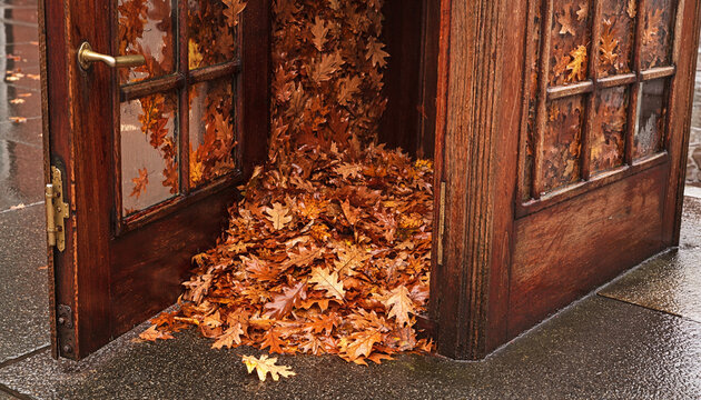 Old Telephone Box Filled with Dried Autumn Leaves