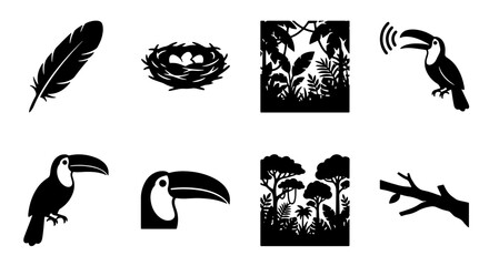 Obraz premium Toucan Vector Icons, Tropical Jungle Scenes, Bird Nest with Eggs, Feather Silhouette, Nature Elements, Wildlife Graphics Set