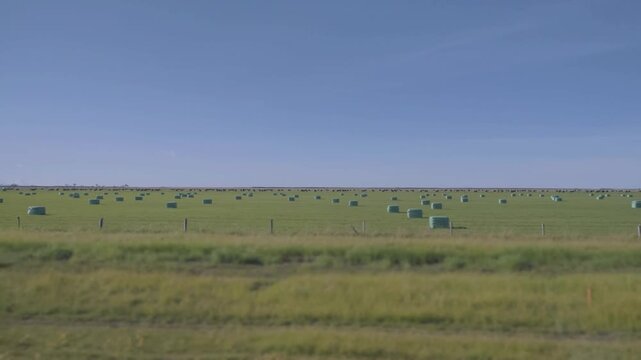 Iceland - September 1, 2026: Wrapped round bales in Iceland
