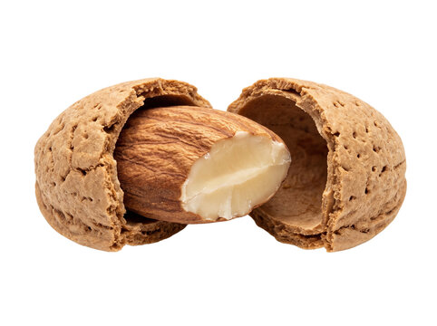Raw almond nut in cracked shell, organic brown almond kernel on white background, macro food photography for healthy snacking