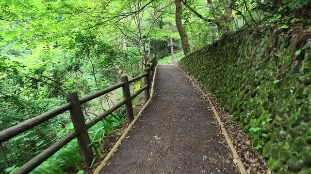Walking a paved forest path with wooden fence in Hinohara Tokyo Japan