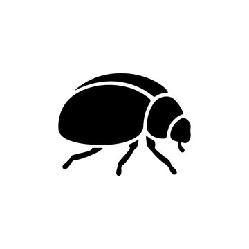 vector illustration of a beetle