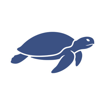 sea turtle vector illustration