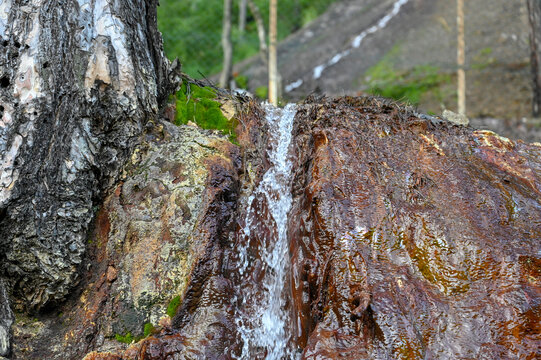 Natural spring of medicinal mineral water. Mineral water spring at the Guber in Srebrenica, Bosnia and Herzegovina. Healing mineral water source. 