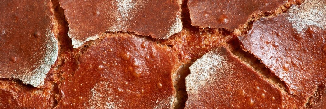 Close up of dark bread crust with deep fissures and flour dusting
