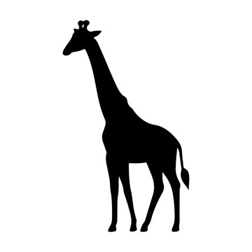 Giraffe silhouette against a white background a simple vector icon style