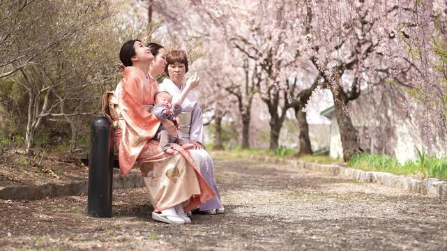Two kimono-clad adults sit with an infant beside an outdoor path beneath hanging pink blossoms.