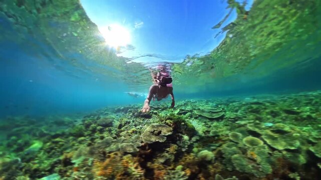 Half-underwater, half-surface split shot shows snorkelers swimming above a colorful coral reef, with clear blue sky visible above the waterline.