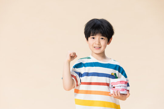 Happy Boy Holding Teeth Model