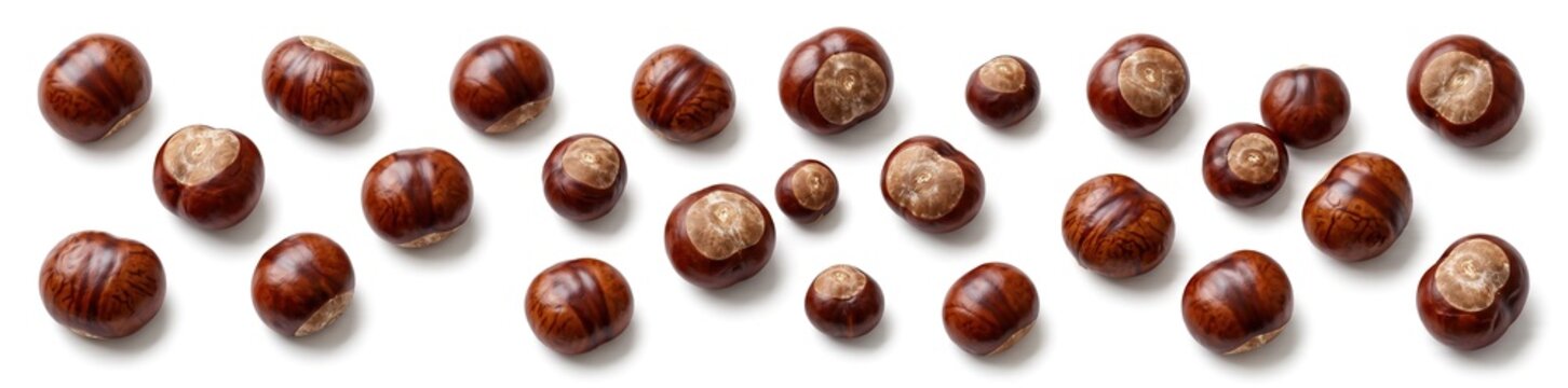 Brown chestnuts lie on a white surface, highlighting their smooth texture and rich color. This scene captures the essence of autumn with its seasonal offerings