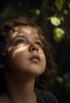 Child Gazing Upward In Nature With Sunlight Filtering Through Leaves And Shadows.