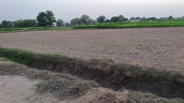 Agricultural field prepared for sowing