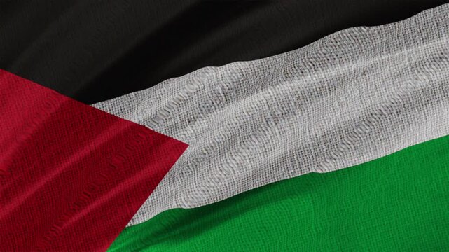 Palestine Flag Animation With Fabric Texture 