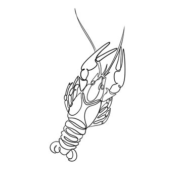 Minimalist Lobster One Line Art Drawing Illustration