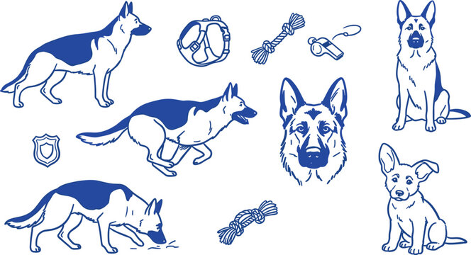 German Shepherd Dog Line Art Vector Set Featuring Playful Poses Running Standing Sitting Sniffing Puppy Harness Toy Rope Whistle and Badge Illustrations