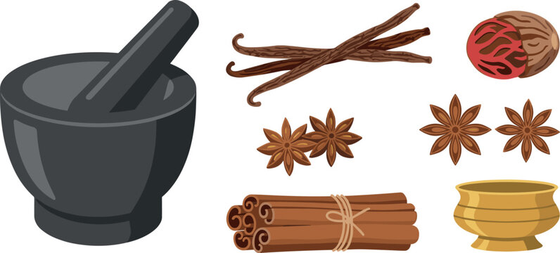 Aromatic Cooking Spices and Mortar Pestle Vector Set with Cinnamon Sticks Star Anise Vanilla Pods Nutmeg and Metallic Condiment Bowl