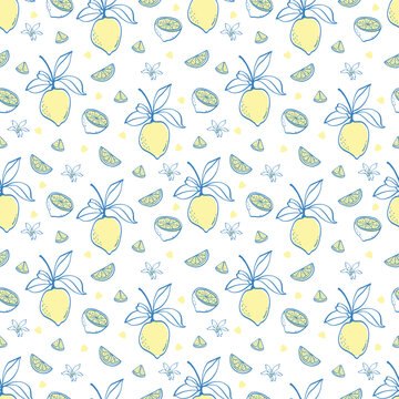 Seamless lemon pattern with hand drawn whole lemons, lemon slices, citrus flowers and small decorative elements in blue and yellow.